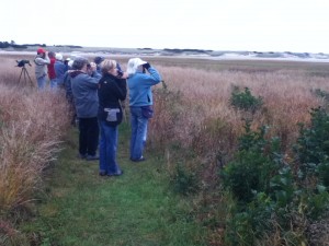 Group of YCAS birders scan the river mouth