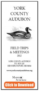 Download the York County Audubon 2012 Field Trips and Meetings brochure