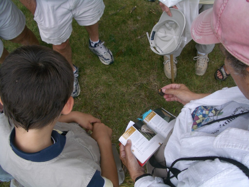 Trip leader holds a wood nymph and field guide